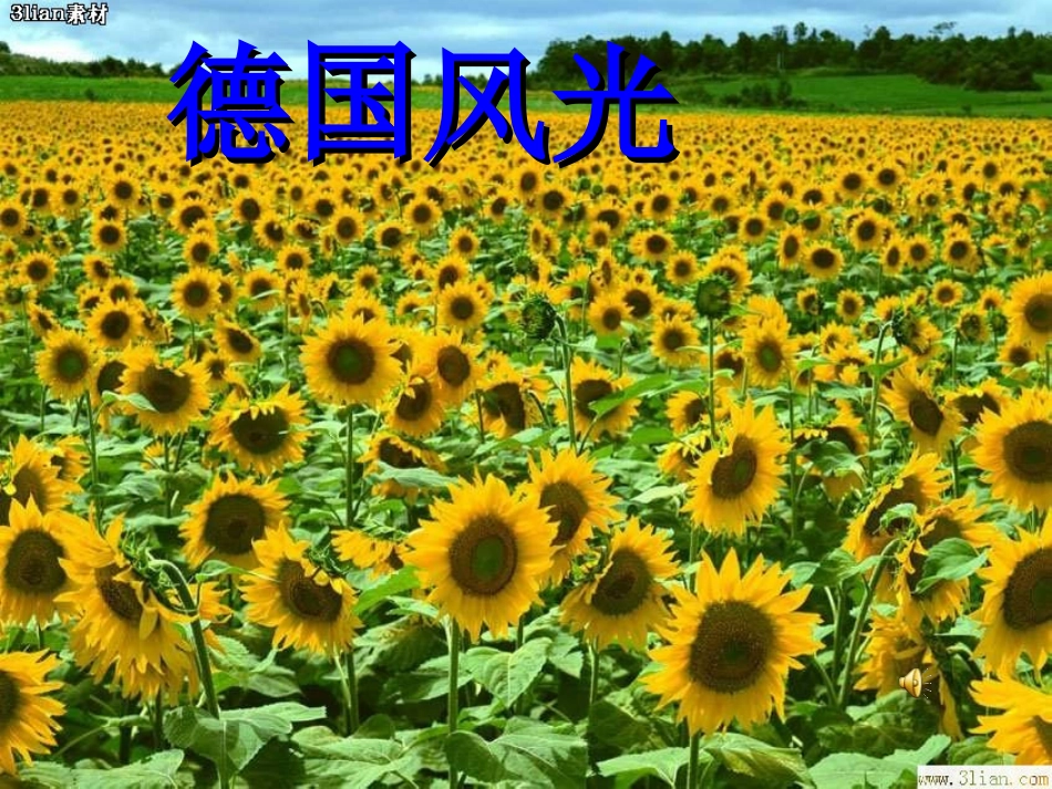 第25课《自己的花是让别人看的》课件_第2页