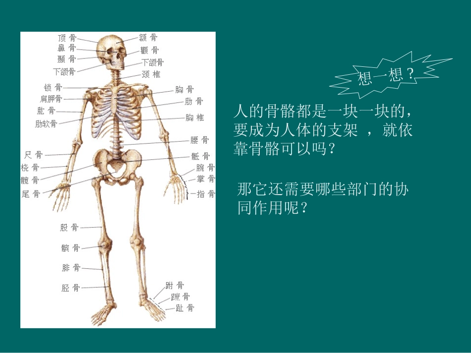 高中体育人体和运动_第2页