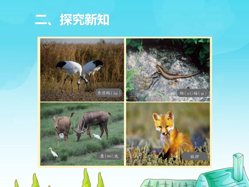 三位数加三位数（进位）_第3页