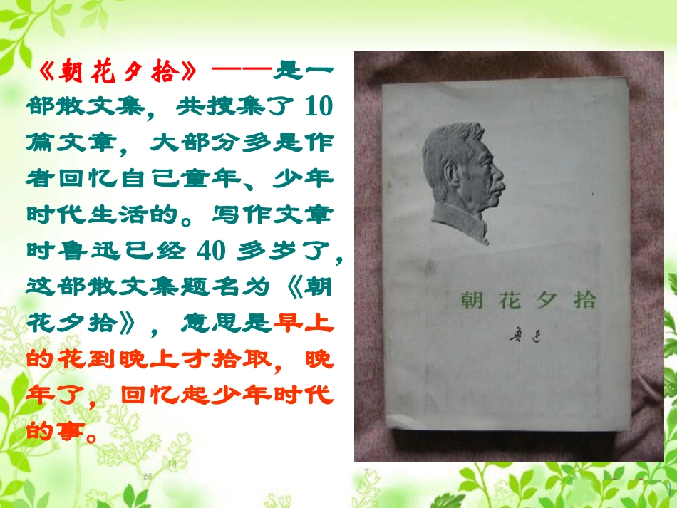 《从百草园到三味书屋》课件 (2)_第3页