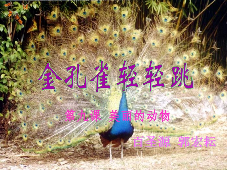 美丽的动物（金孔雀轻轻跳）_第1页