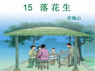 落花生第二课时