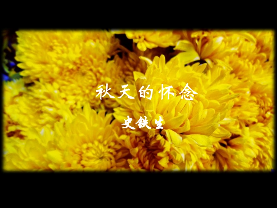 “阅读史铁生”综合实践活动教学设计课件_第1页