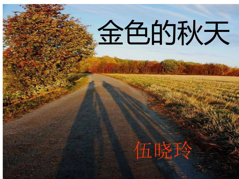 金色的秋天（中班社会）_第1页
