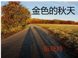 金色的秋天（中班社会）