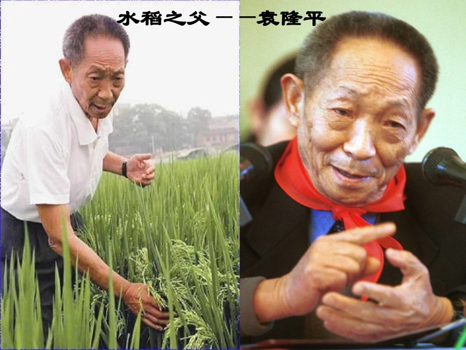 人教版语文二上34《农业的变化真大》课件(4)_第3页