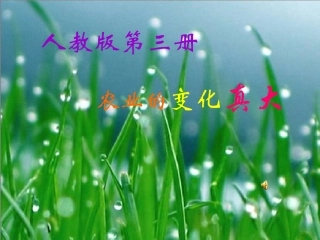 人教版语文二上34《农业的变化真大》课件(4)
