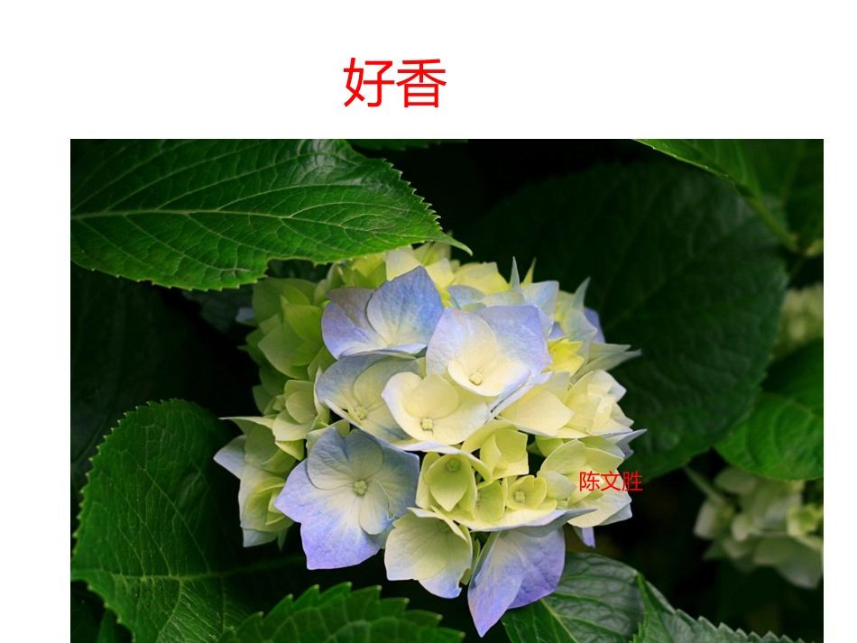 美丽的西湖2_第2页
