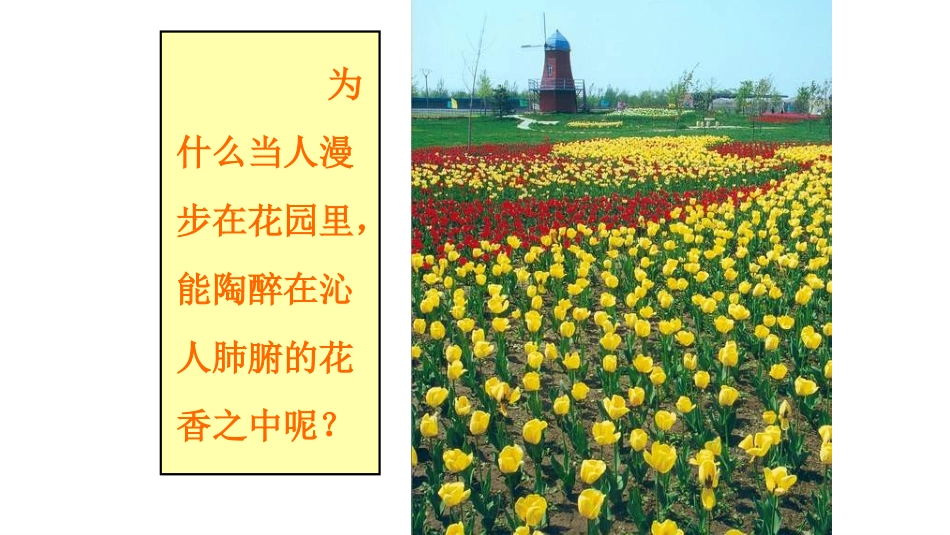 分子和原子（第1课时）_第3页