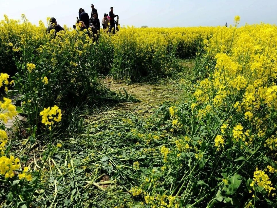 五上M10U2-Don't-shout--please_第2页