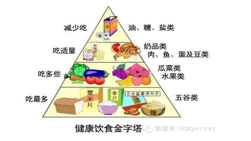 幼儿健康饮食_第3页