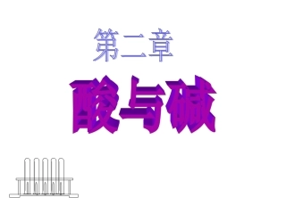 第一节日常生活中的酸和碱
