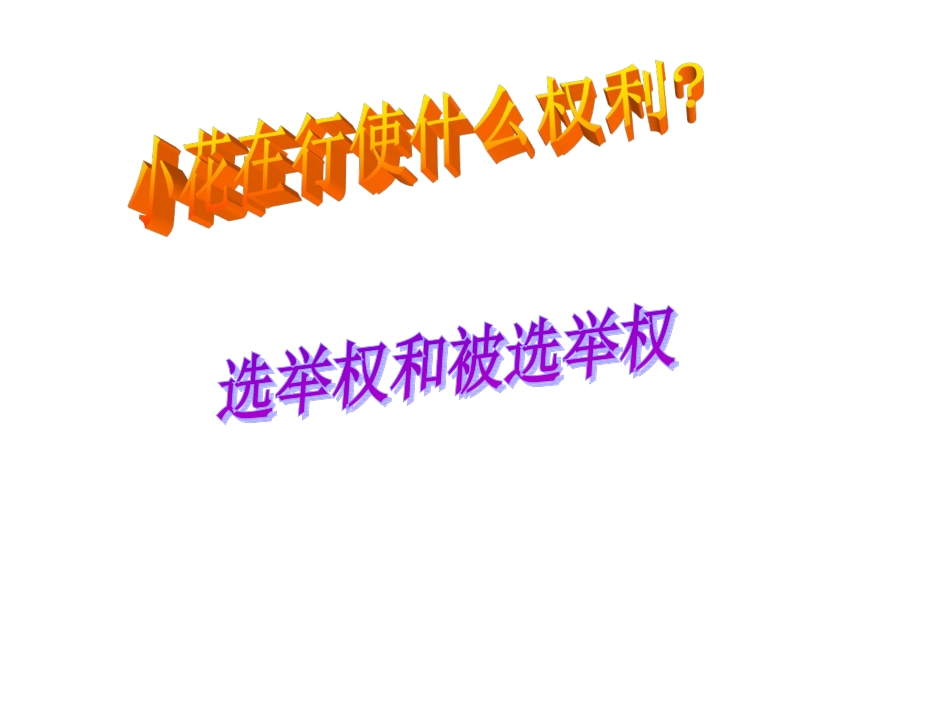 依法参与政治生活（共30张PPT）_第2页