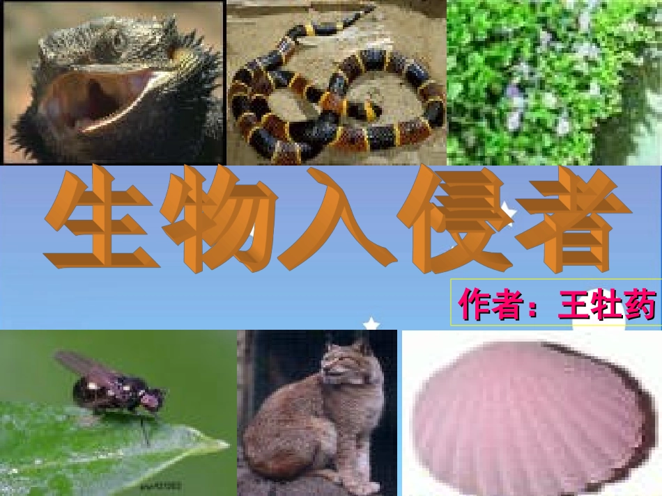 生物入侵者（王牡药）_第2页
