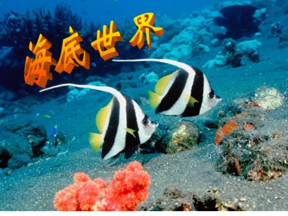 《海底世界》 (2)_第1页