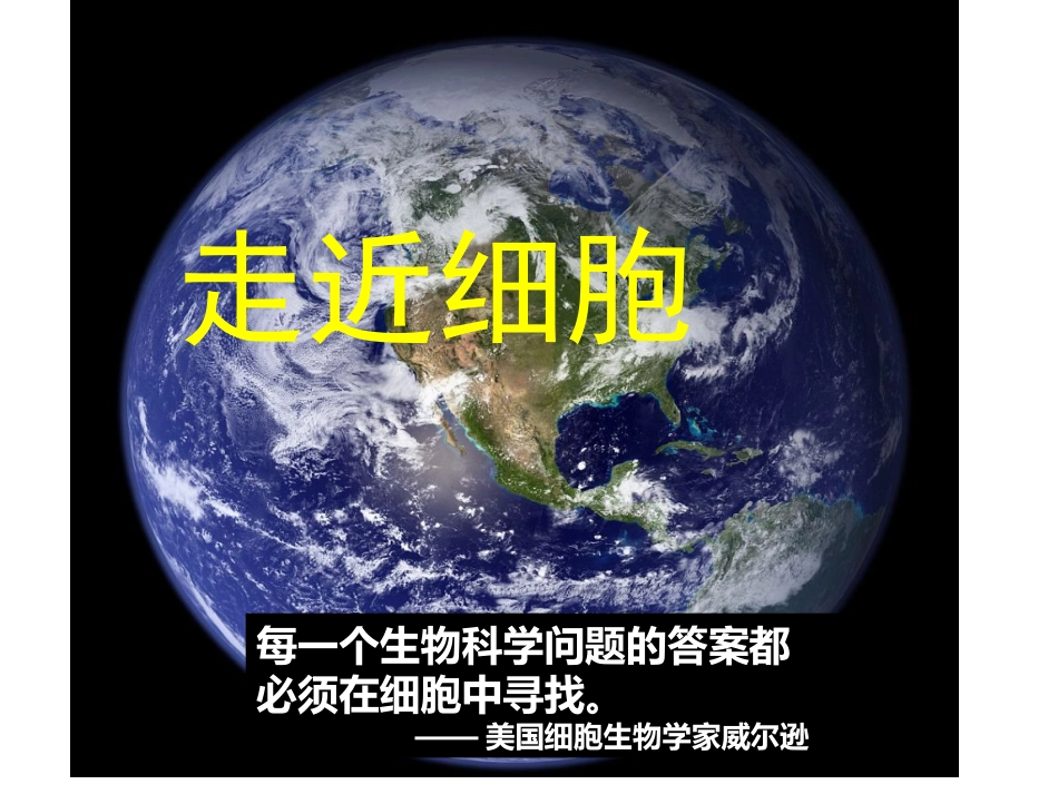 从细胞到生物圈（2课时）_第2页