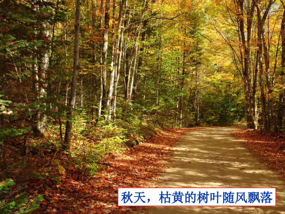 第1课时植物的感应性_第2页