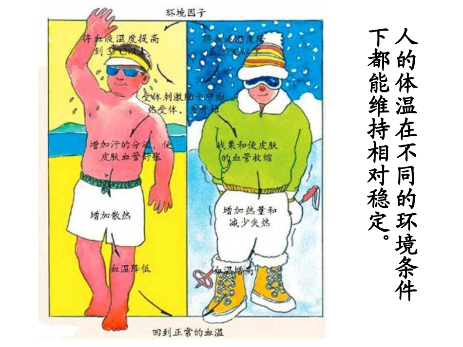 第1课时植物的感应性_第3页