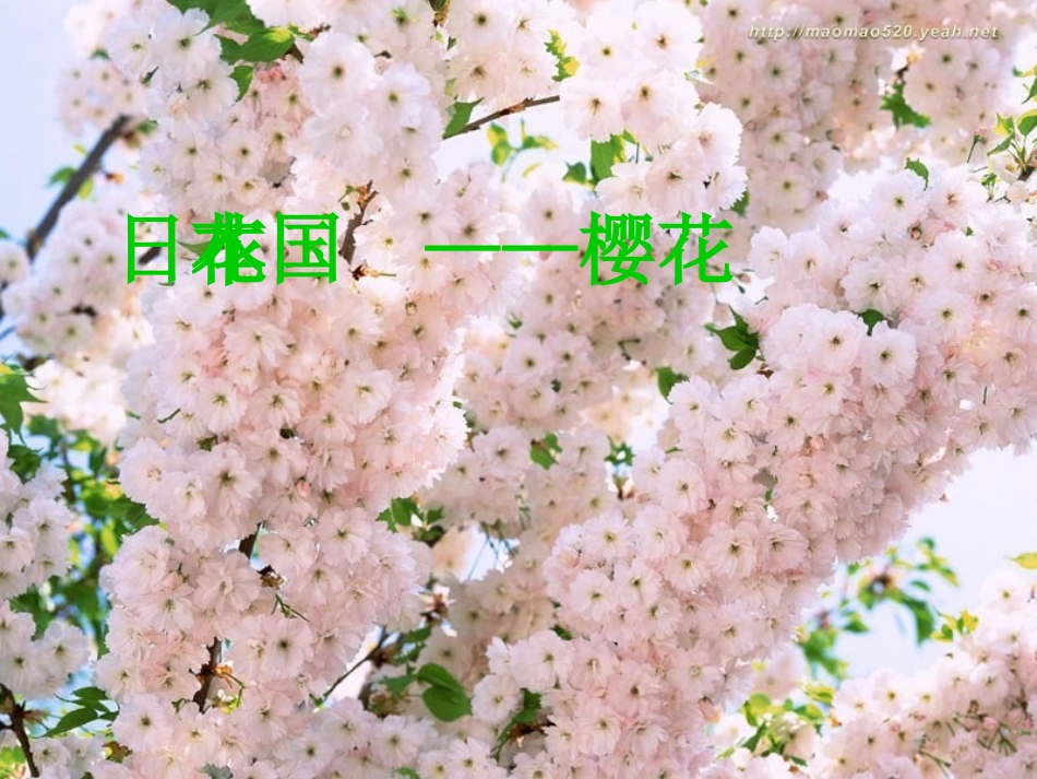 六年级音乐雪绒花课件_第3页