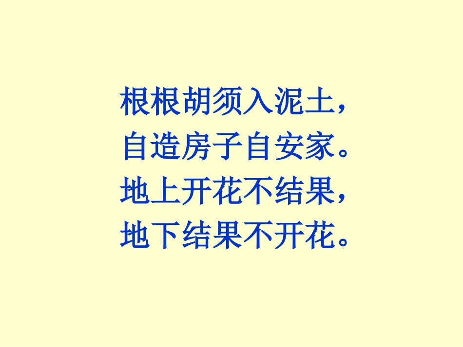 《落花生》课堂教学课件_第2页
