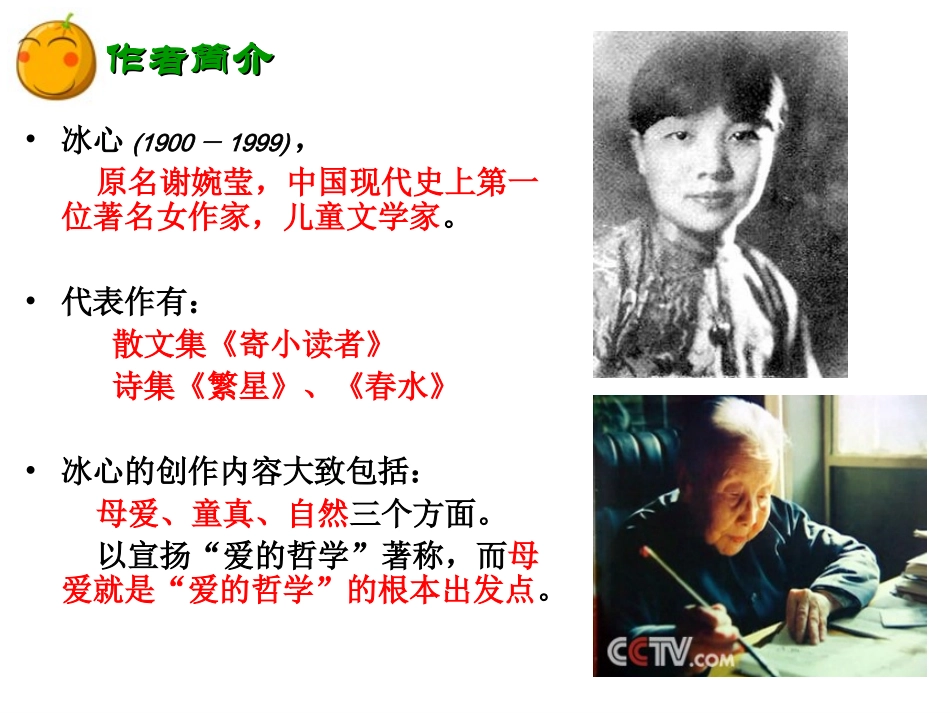 《荷叶母亲》课件(13页)_第3页