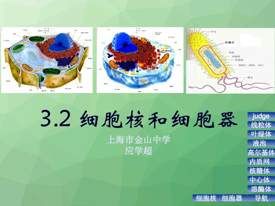 细胞核和细胞器(2课时)_第1页