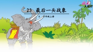 最后一头战象 