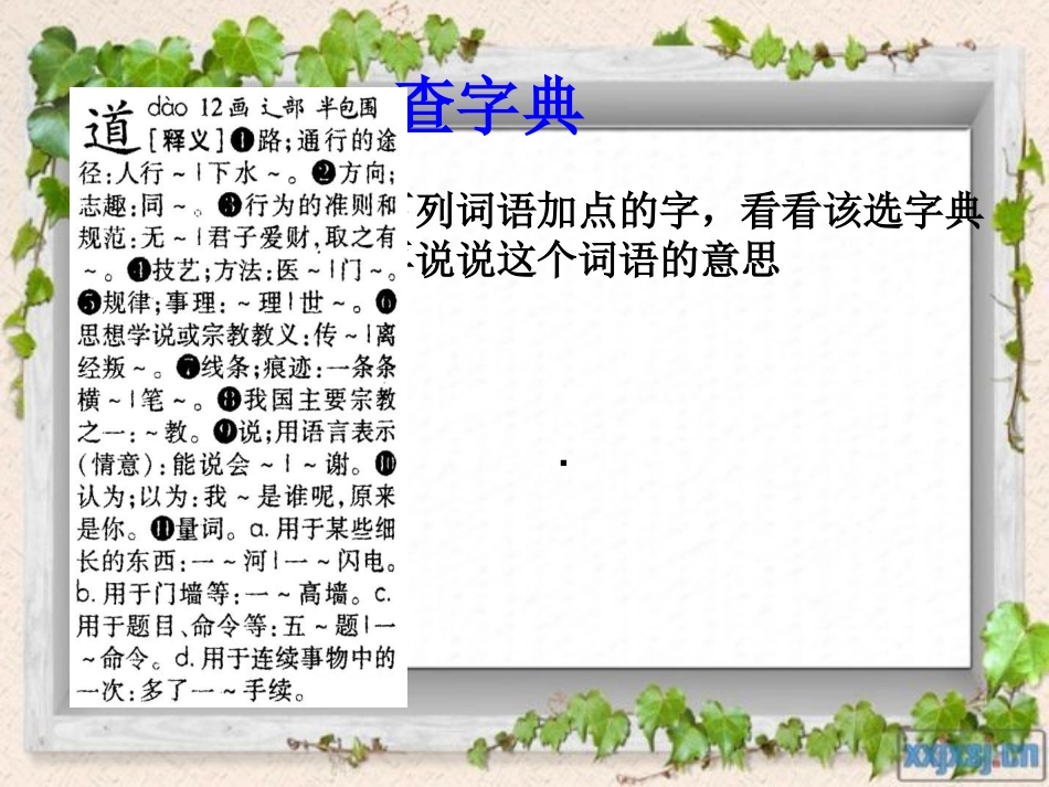 六年级复习专题：准确理解词语意思_第2页