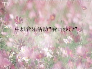 中班音乐活动_春雨沙沙