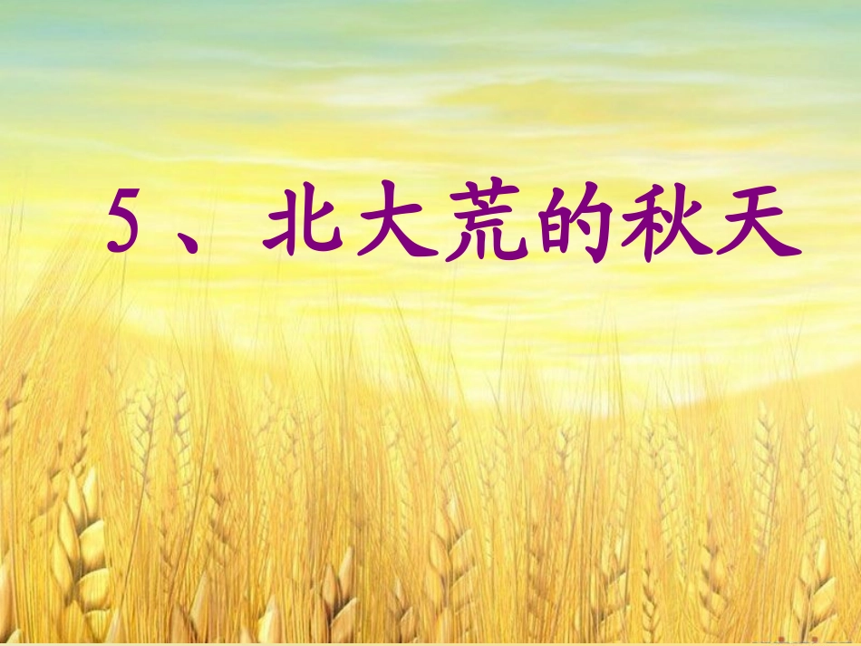北大荒的秋天_第1页
