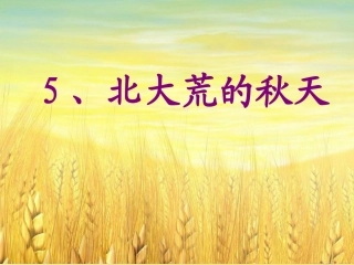 北大荒的秋天