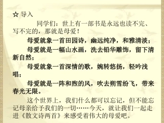 荷叶母亲 (3)