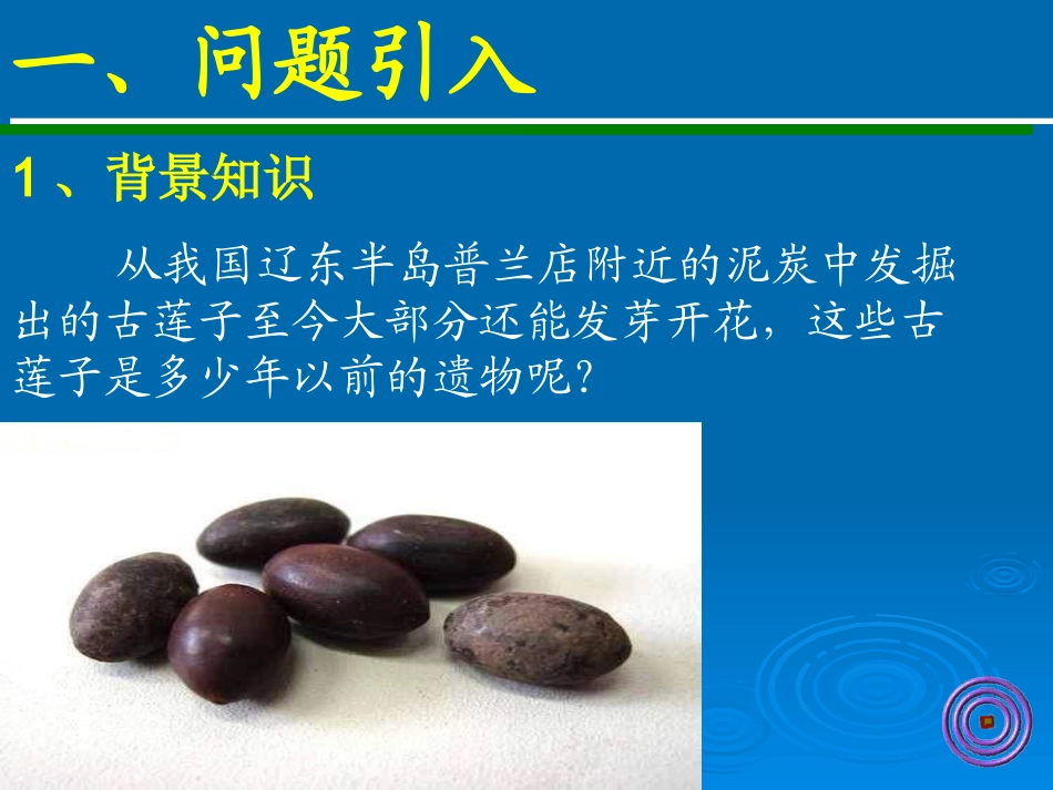 指数函数杨洁叶_第2页