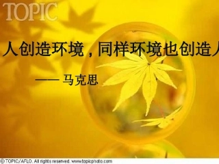 孤独之旅与环境描写