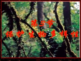 第3节生物多样性及其保护