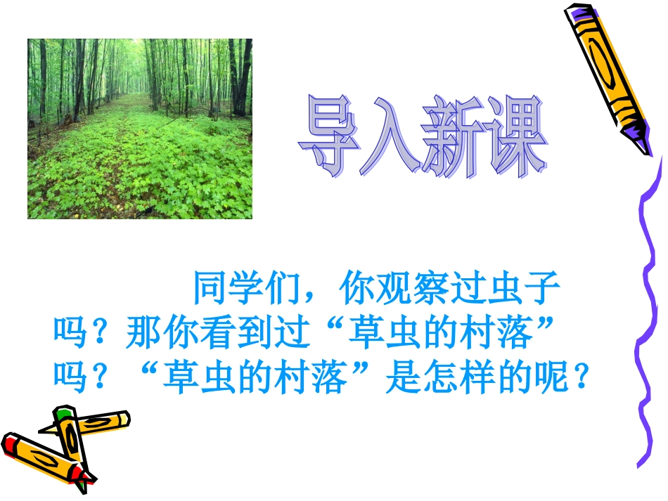 草虫的村落课件()_第2页
