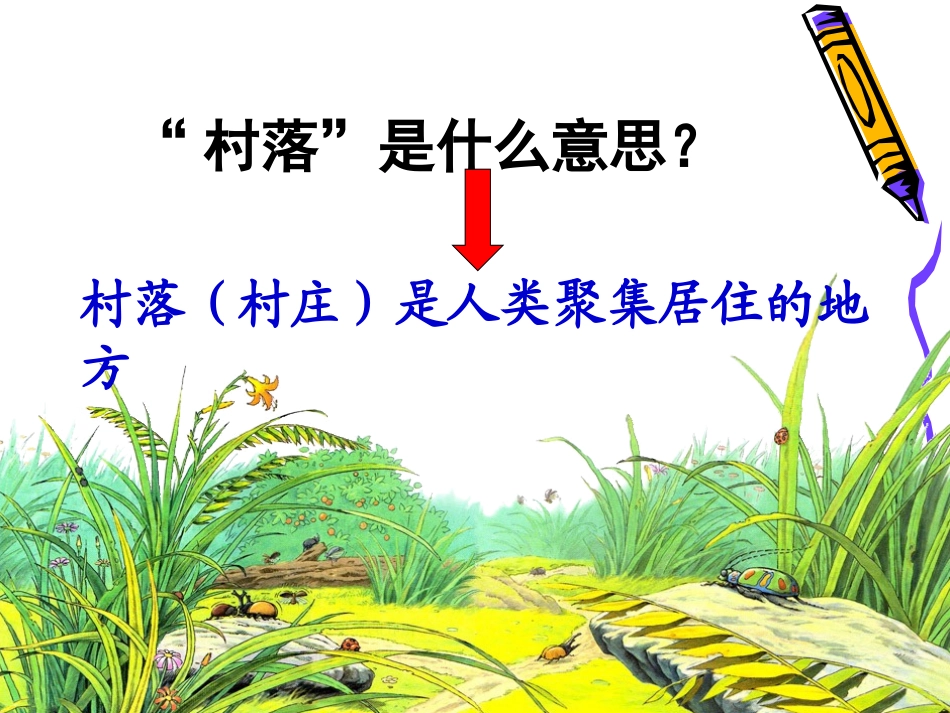 草虫的村落课件()_第3页