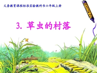 草虫的村落课件()