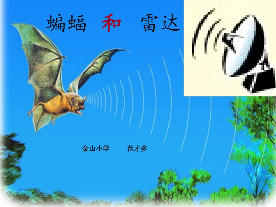 蝙蝠和雷达课件PPT人教版新课标四年级语文下册课件-(1)_第1页