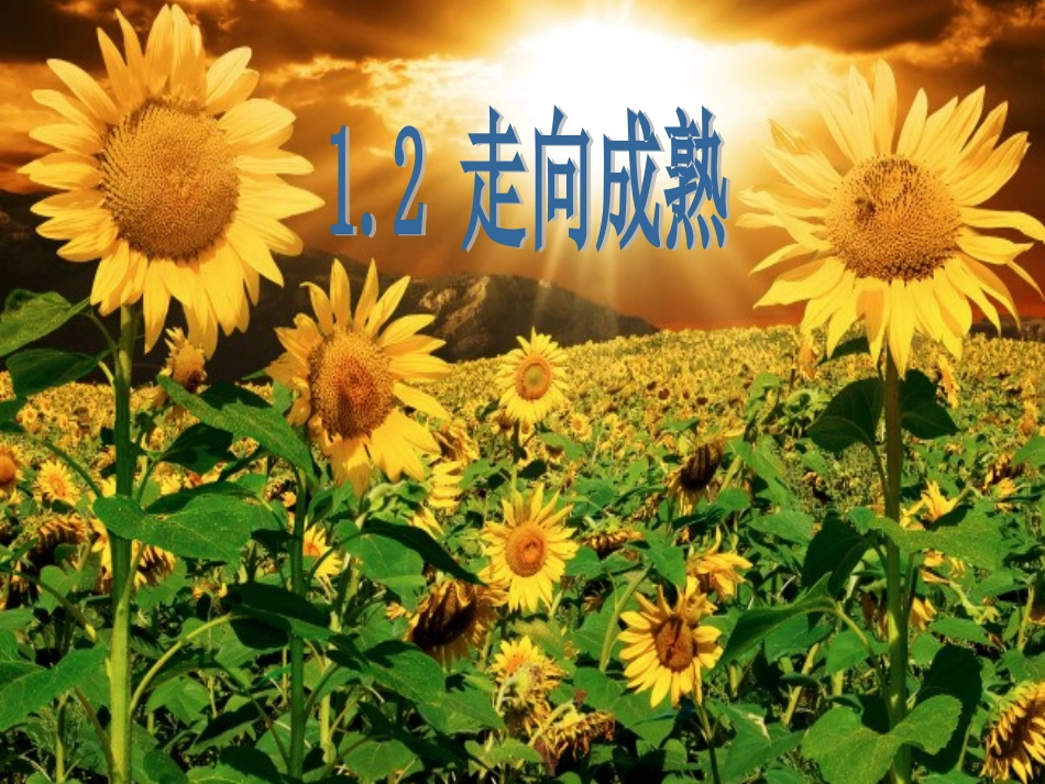 走向成熟个课时全_第1页