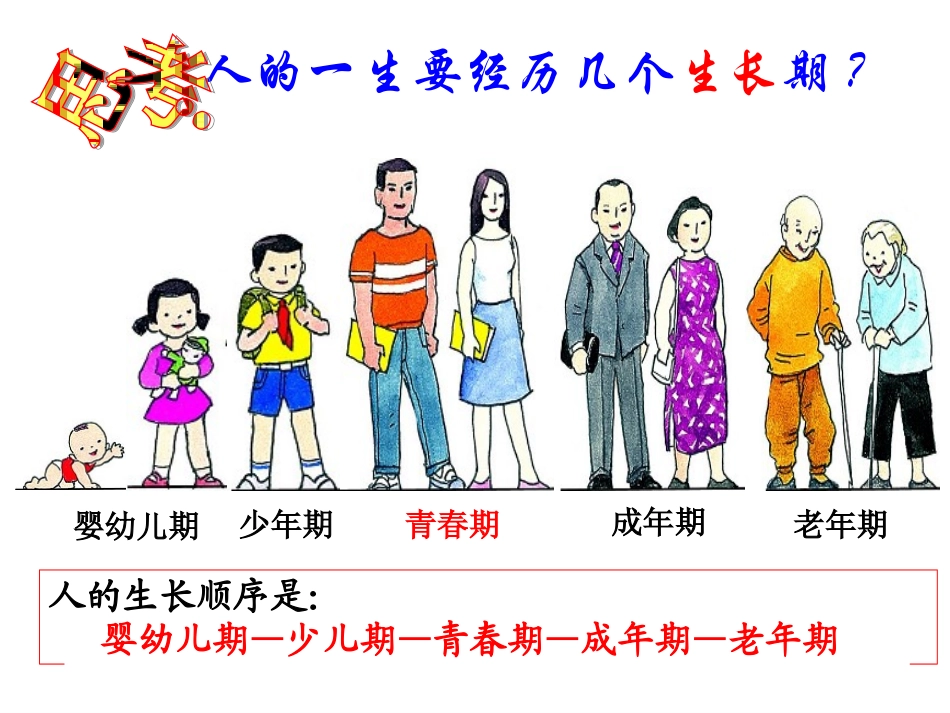 走向成熟个课时全_第2页