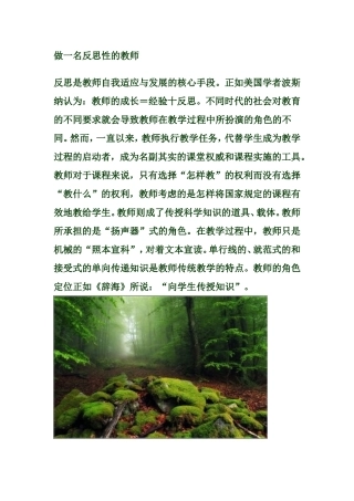做一名反思性的教师