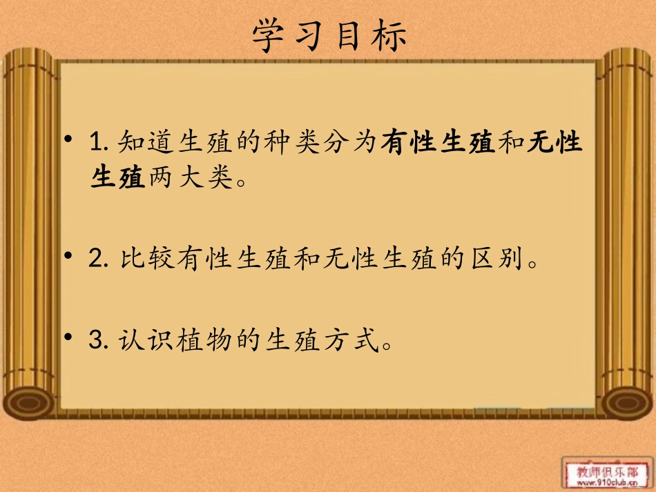 植物的生殖方式_第2页