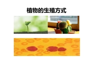 植物的生殖方式