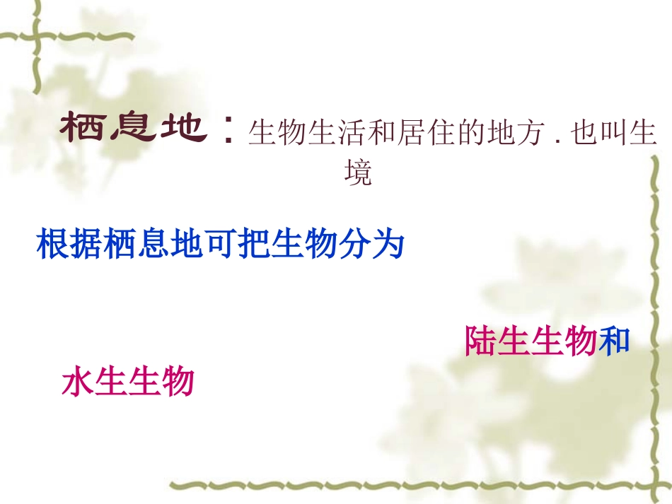 科学：51艳丽多姿的生物（华师大七年级上）_第3页