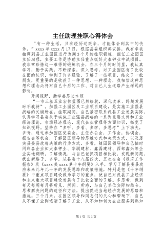 主任助理挂职心得体会