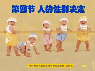 第四节_人的性别遗传(人教版)