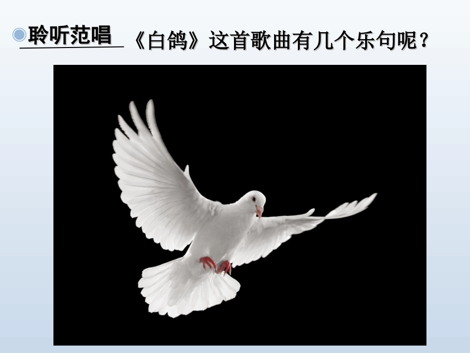 白鸽（版本）_第3页