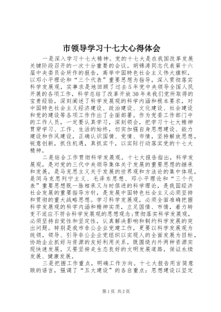 市领导学习十七大心得体会