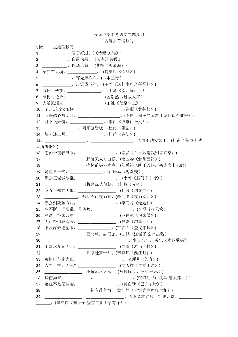 长堡中学中考语文专题复习_第1页